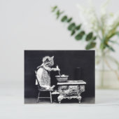 ボウルの子猫 ポストカード (スタンド正面)