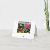 ボウル一杯のさくらんぼ カード (裏面)