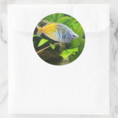 ボエセマニレインボー ラウンドシール (バッグ)