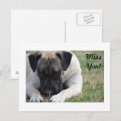 ボエルボエル葉書 ポストカード (正面/裏面)