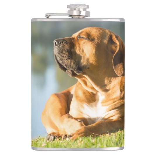 ボエルボエル フラスク (正面)