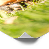 ボエルボエル ポスター (角)