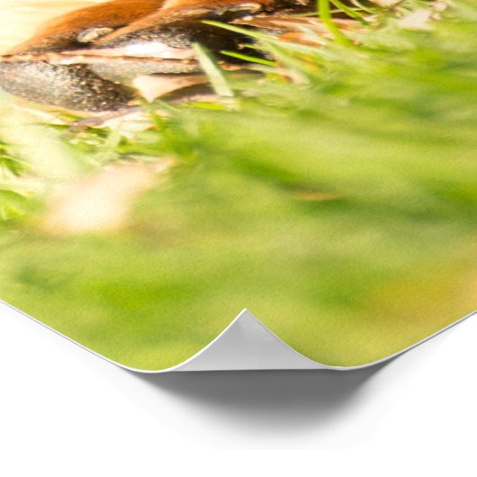 ボエルボエル ポスター (角)