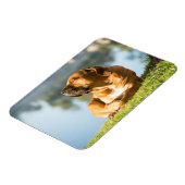 ボエルボエル マグネット (左側)