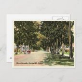 ボカグランデガスパリラアイランドヴィンテージ通り ポストカード (正面/裏面)