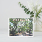 ボカグランデ、ガスパリラアイランド、フロリダ州バンヤン ポストカード (スタンド正面)