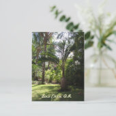 ボカチカのヤシの木 ポストカード (スタンド正面)