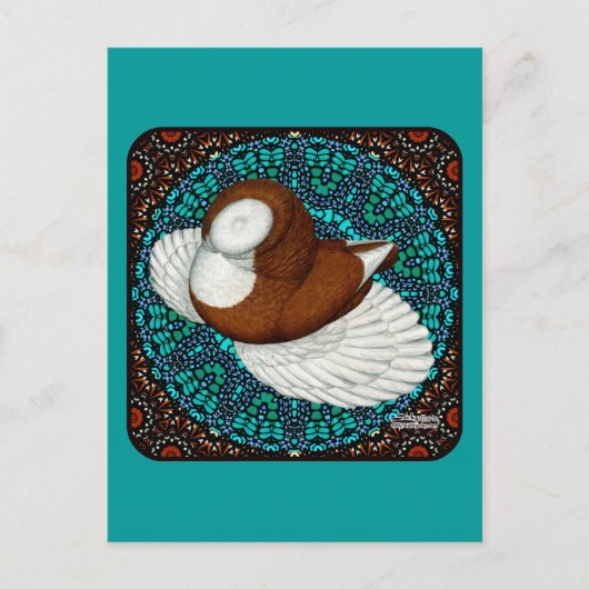 ボカラピジョンファンシー ポストカード (正面)