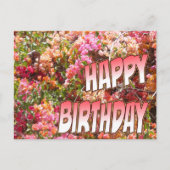 ボガインビリアの誕生日ポストカード ピンク ポストカード (正面)