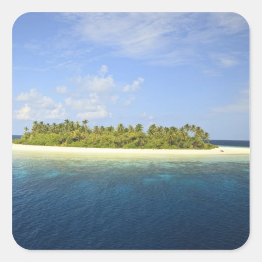 ボガジェロ島，南ハバドゥ環礁， 3 スクエアシール (正面)