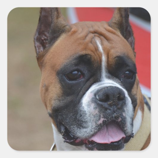 ボクはっきりしたサー スクエアシール (正面)