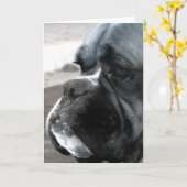 ボクサーあいさつカード カード (黄色い花)