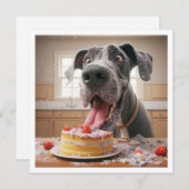 ボクサーおもしろいカード、ボクサー誕生日招待状 招待状 (正面/裏面)