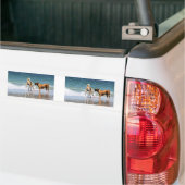 ボクサーおよび友達-ことイルカはでしたか。 バンパーステッカー (トラック上)