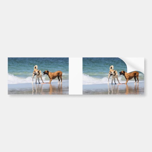 ボクサーおよび友達-ことイルカはでしたか。 バンパーステッカー (正面)