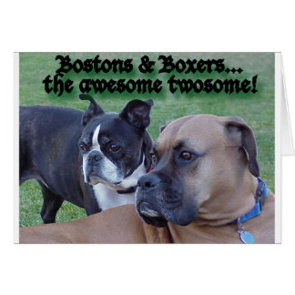 ボクサーおよびBostons