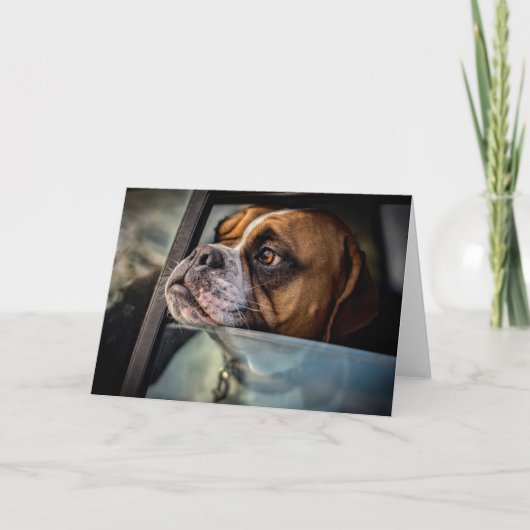 ボクサーがBBQカードの匂いを嗅ぐ カード (正面)