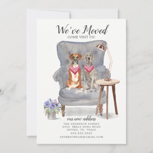 ボクサーとワイマラナーの犬の引越し告知 案内状 (正面)