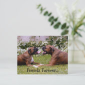 ボクサーのはがき ポストカード (スタンド正面)