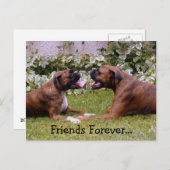 ボクサーのはがき ポストカード (正面/裏面)