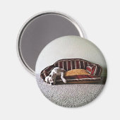 ボクサーのドギー磁石 マグネット (正面/裏面)