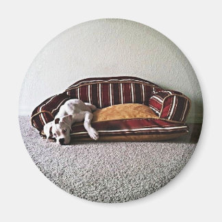 ボクサーのドギー磁石 マグネット