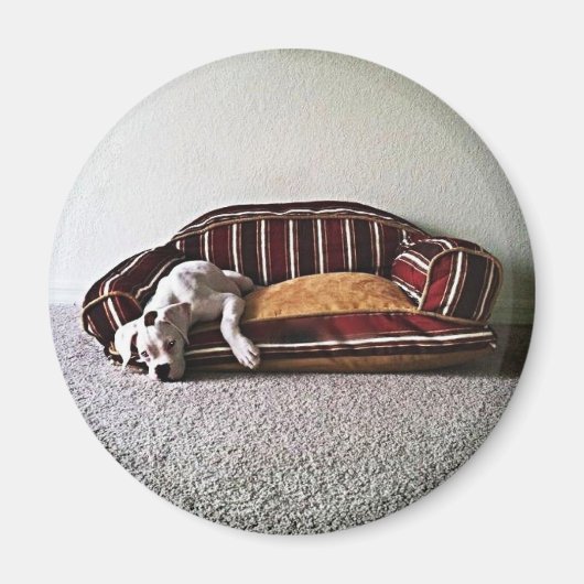 ボクサーのドギー磁石 マグネット (正面)