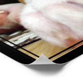 ボクサーのパピースキャンバス印刷 ポスター (角)