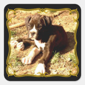 ボクサーのワンちゃん スクエアシール (正面)