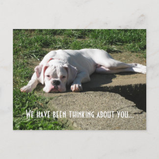 ボクサーの名刺 ポストカード