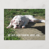 ボクサーの名刺 ポストカード (正面)