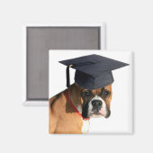 ボクサーの大学院磁石 マグネット (正面/裏面)