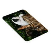 ボクサーの子犬たち マグネット (右側)