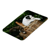 ボクサーの子犬たち マグネット (左側)