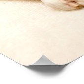 ボクサーの子犬のアイボリークリームの背景。 ポスター (角)