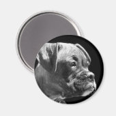 ボクサーの子犬の丸磁石 マグネット (正面/裏面)