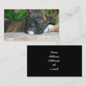 ボクサーの子犬の名刺 名刺 (正面/裏面)