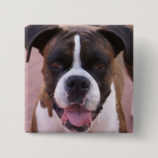 ボクサーの子犬の正方形Pin 缶バッジ (正面)