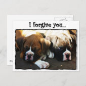 ボクサーの子犬はがき ポストカード (正面/裏面)