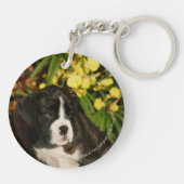 ボクサーの子犬 キーホルダー (裏面)