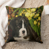 ボクサーの子犬 クッション (ブランケット)