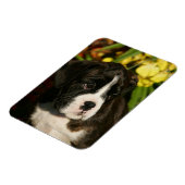 ボクサーの子犬 マグネット (左側)