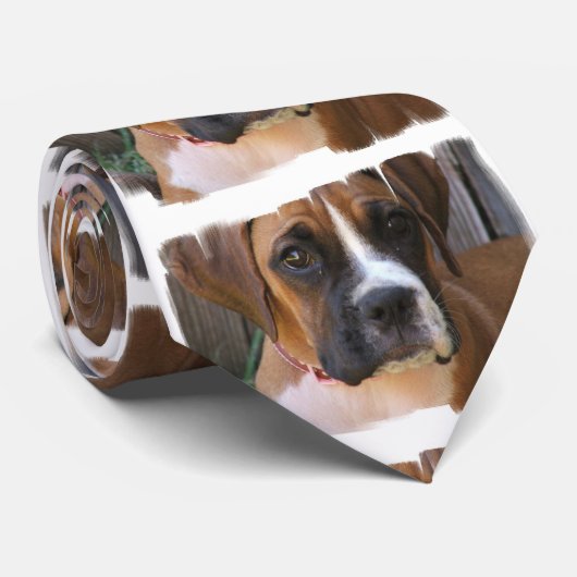 ボクサーの救助 ネクタイ (ロール)