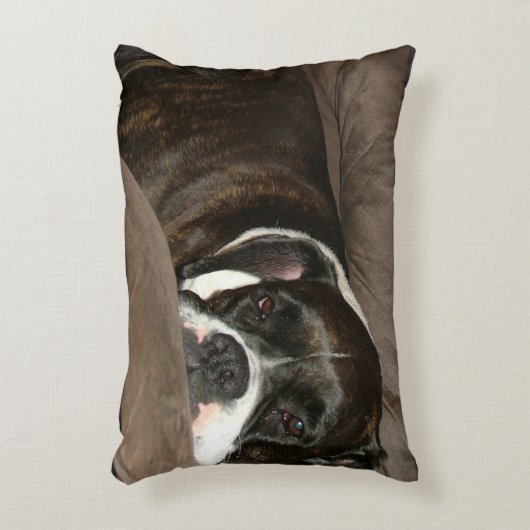 ボクサーの枕 アクセントクッション (正面(垂直))