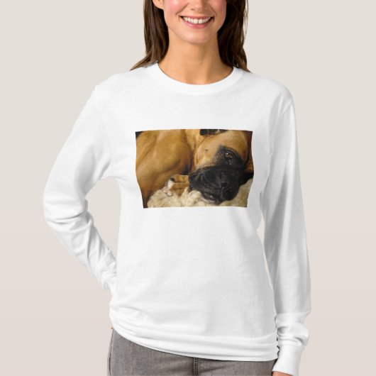 ボクサーの詳細 Tシャツ (正面)