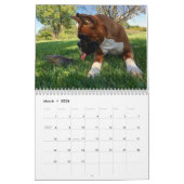 ボクサーはちょうどおもしろい2017のカレンダーを持ちたいと思います カレンダー (3月 2026)