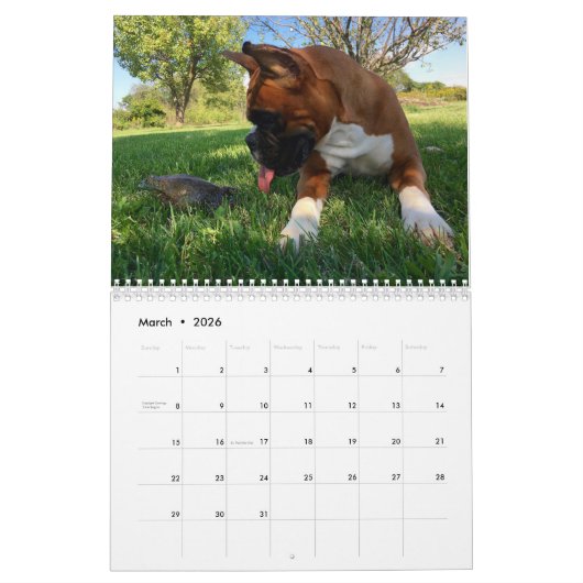 ボクサーはちょうどおもしろい2017のカレンダーを持ちたいと思います カレンダー (3月 2026)