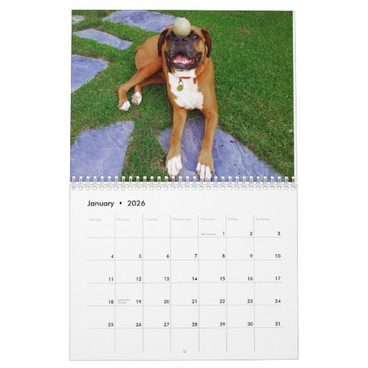 ボクサーはちょうどおもしろい2017のカレンダーを持ちたいと思います カレンダー (1月 2026)