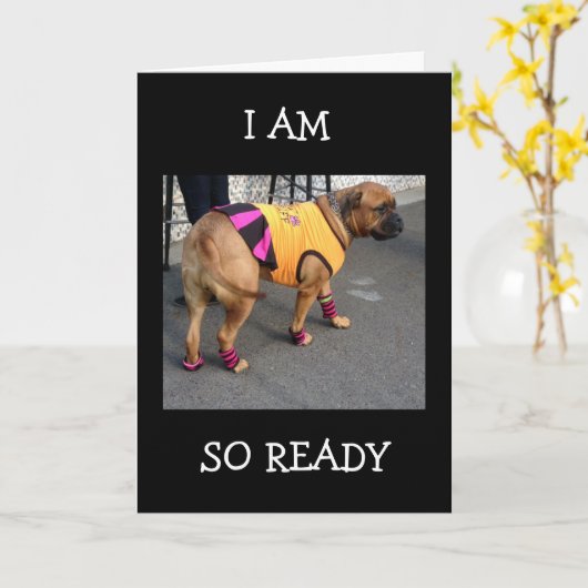 ボクサーは君の祝誕生日 カード (黄色い花)