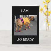 ボクサーは君の祝誕生日 カード (黄色い花)